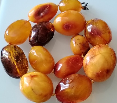 Baltische butterscotch - baltische,